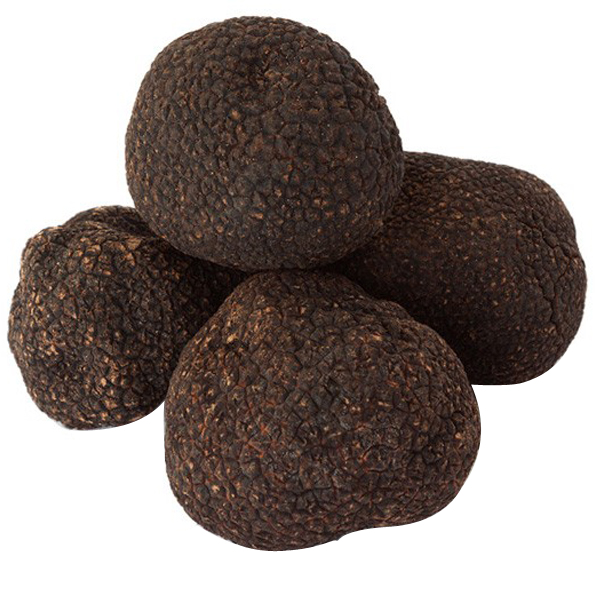 Black Winter Truffle 100g